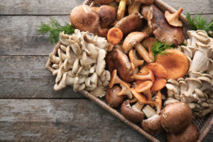 mushrooms in a tray