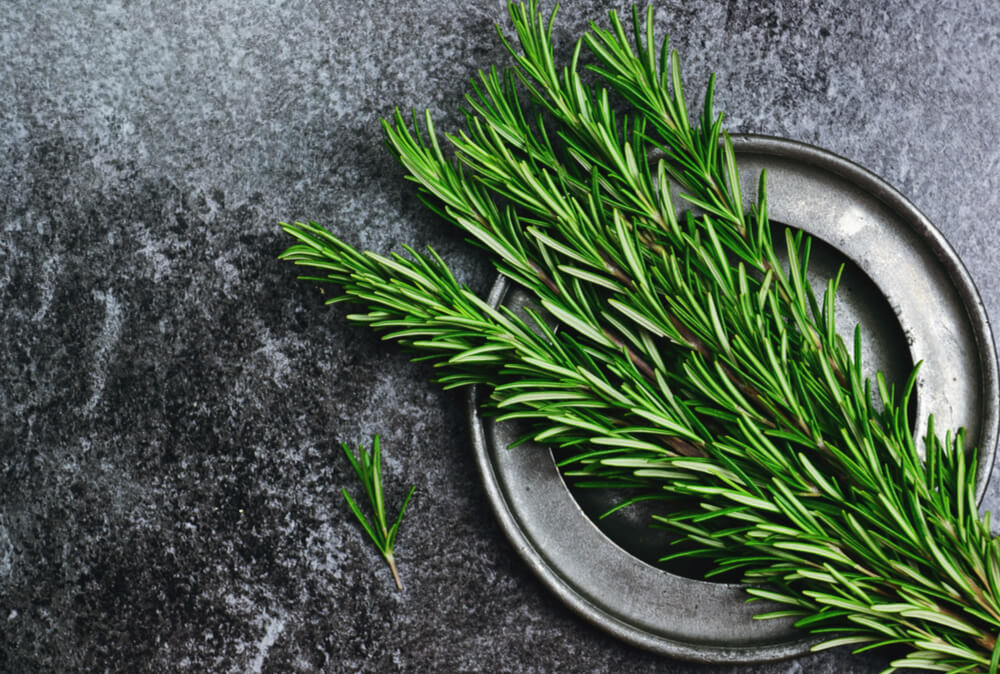 Fresh Rosemary Sprig to add into tomato soup