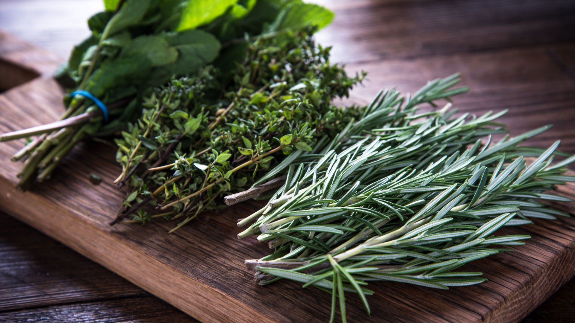 Best Herbs to Go with Soup Campbell’s Soup